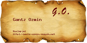 Gantz Ozmin névjegykártya